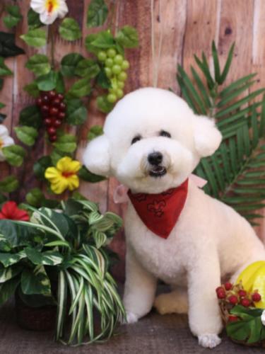 20230812ププくん